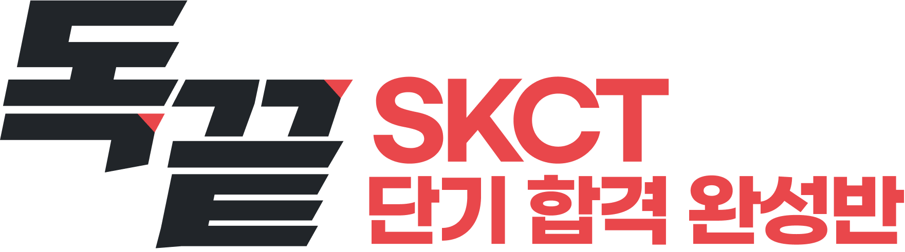 독끝 SKCT 단기 합격 완성반